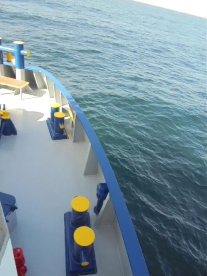 Navio frigorífico à venda