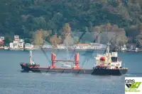 Navio graneleiro à venda