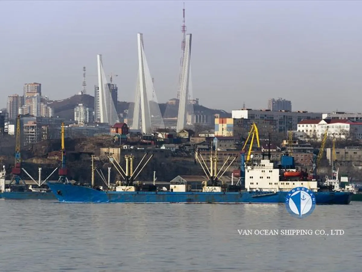 Navio frigorífico à venda