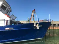 Barcos de trabalho à venda