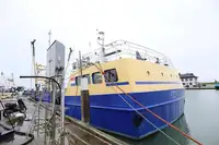 Navio de cruzeiro à venda