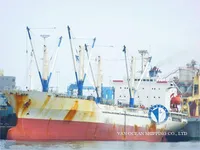 Navio frigorífico à venda