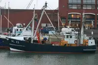 Trawler à venda