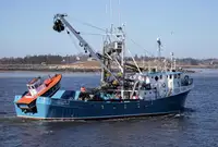 Navio de pesca de cerco à venda