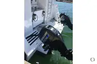 Catamarã à venda