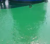 Navio graneleiro à venda
