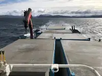 Barcos de trabalho à venda