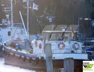 Navio-tanque de óleo/produtos químicos à venda