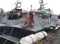 Barcos de trabalho à venda