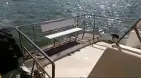Barco de tripulação à venda