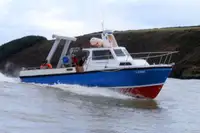 Cutter à venda