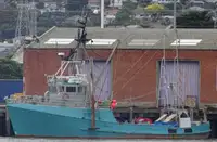Trawler à venda