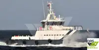 Barcos de trabalho à venda