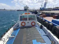 Barcos de trabalho à venda