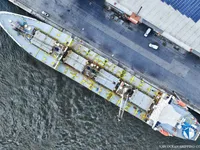 Navio frigorífico à venda