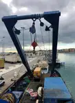 Barcos de trabalho à venda