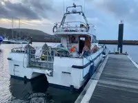 Catamarã à venda