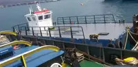 Barcos de trabalho à venda