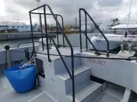 Catamarã à venda