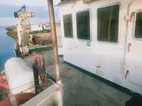 Balsa de desembarque, tanque à venda