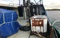 Navio de pesca de arrasto à venda