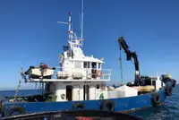 Barcos de trabalho à venda