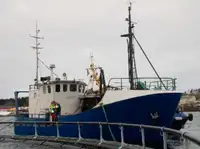 Trawler à venda