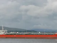 Navio-tanque de óleo/produtos químicos à venda