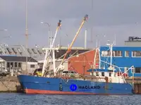 Navio de pesca de arrasto de rede de fundo à venda