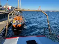 Barcos de trabalho à venda