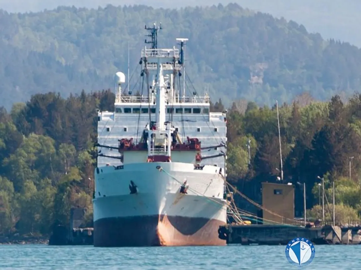 Navio frigorífico à venda