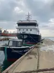 Purse seiner à venda