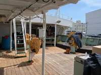 Navio de pesca de linha de mão à venda