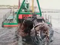 Draga à venda