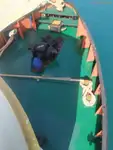 Rebocador à venda