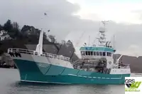 Navio de pesca de arrasto à venda