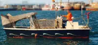 Barcos de trabalho à venda