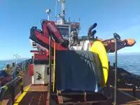 Rebocador à venda