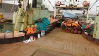 Navio de pesca de arrasto à venda