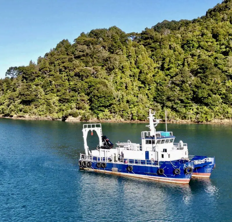 Catamarã à venda