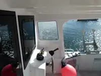 Barcos de trabalho à venda