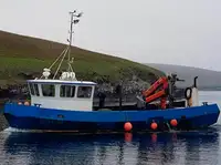 Barcos de trabalho à venda