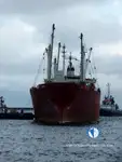 Navio frigorífico à venda