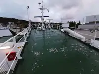 Navio graneleiro à venda