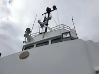 Barcos de trabalho à venda