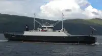Navio Ro-Ro à venda