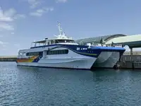 Catamarã à venda