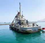 Barcos de trabalho à venda