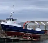 Barcos de trabalho à venda