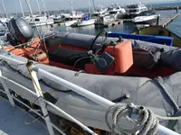 Barcos de trabalho à venda